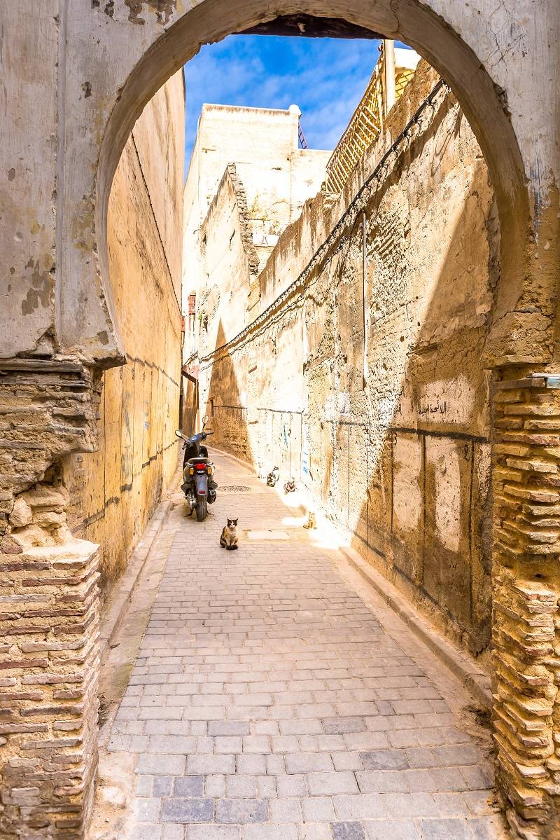 ancient-medina-of-fez-morocco-2025-10-17-06-19-19-utc-min